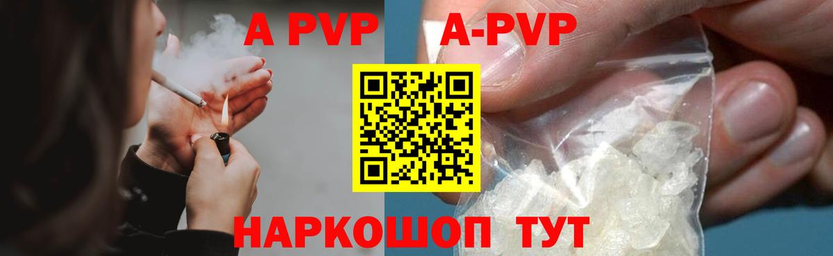 А ПВП крисы CK  Вход с VPN  Alfa_PVP СК КРИС  Сосновоборск  A PVP СК 