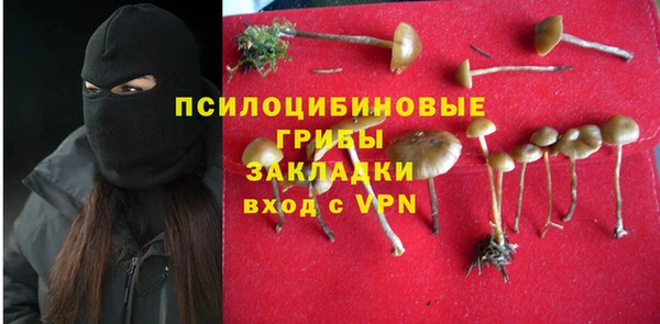 экстази Медвежьегорск