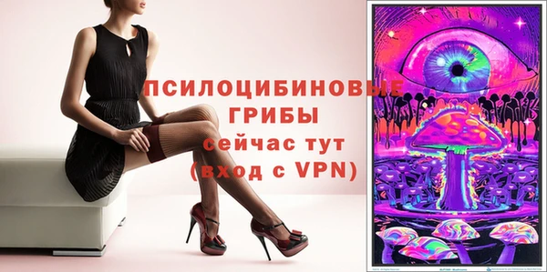 дурь Мегион