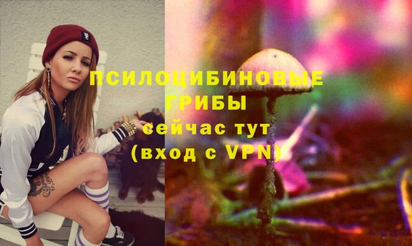 экстази Медвежьегорск