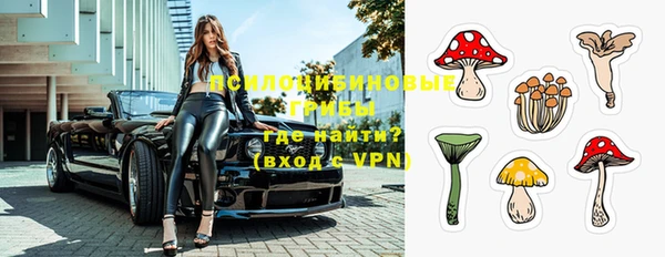 дурь Мегион