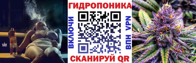 цена наркотик  Сосновоборск  Канабис SATIVA & INDICA 